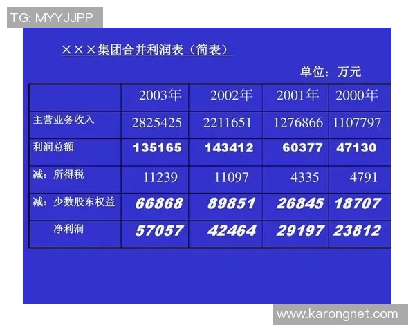 AL与CFO在企业财务管理中的角色对比与协同发展路径探索