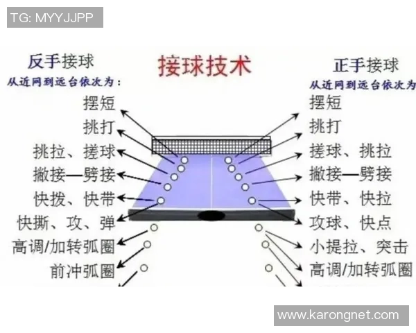 乒乓球技术提升与战术分析：从基础到高级技巧的全面解析